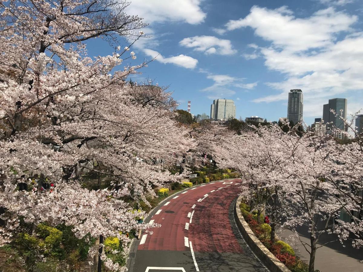 Apa Roppongi Six Hotel der Economy-Klasse